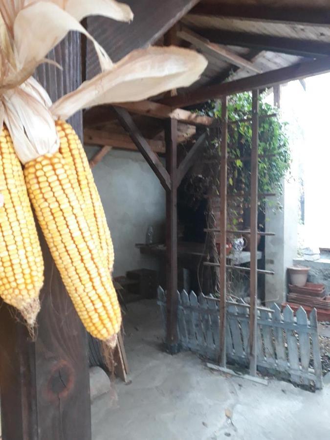 Pensiunea Dodo Patarlagele Exterior foto