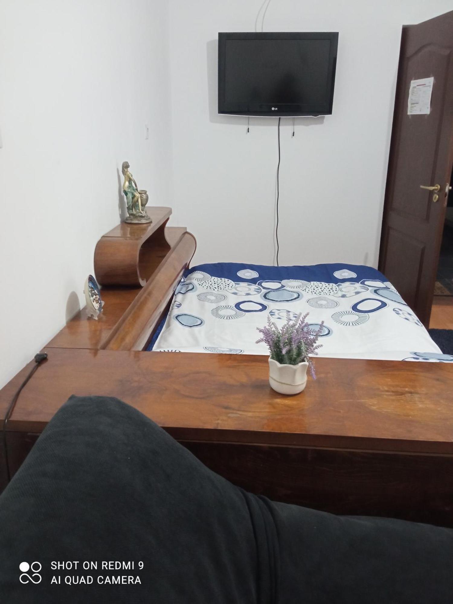 Pensiunea Dodo Patarlagele Quarto foto